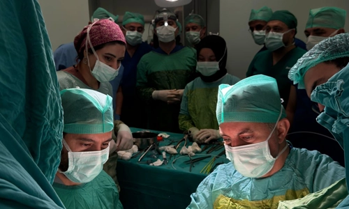 Kahramanmaraş Sütçü İmam Üniversitesi Proktoloji Kursu Kahramanmaraş Sütçü İmam Üniversitesi Proktoloji Kursu